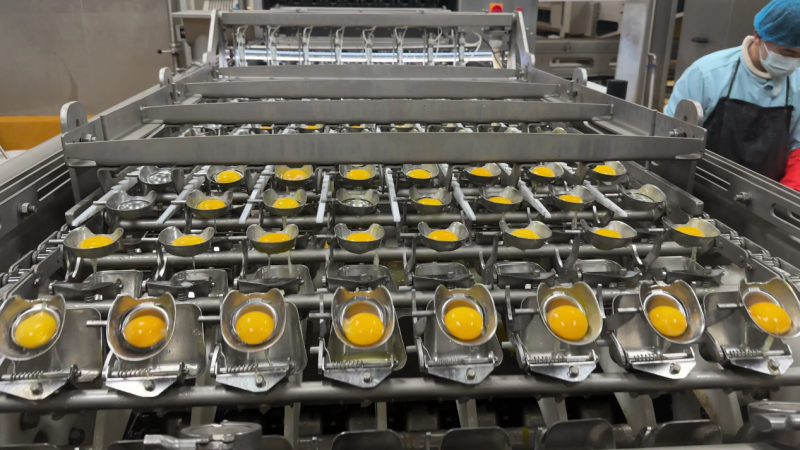 双认证加持！沈师傅食品以硬核实力，领航鸡蛋营养新赛道(图5)