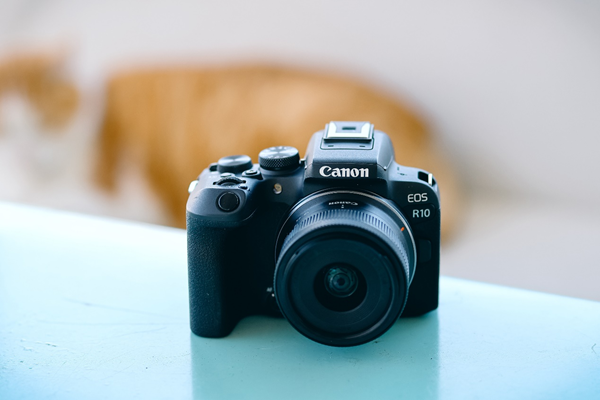 1711630875475011.png 图片20.png